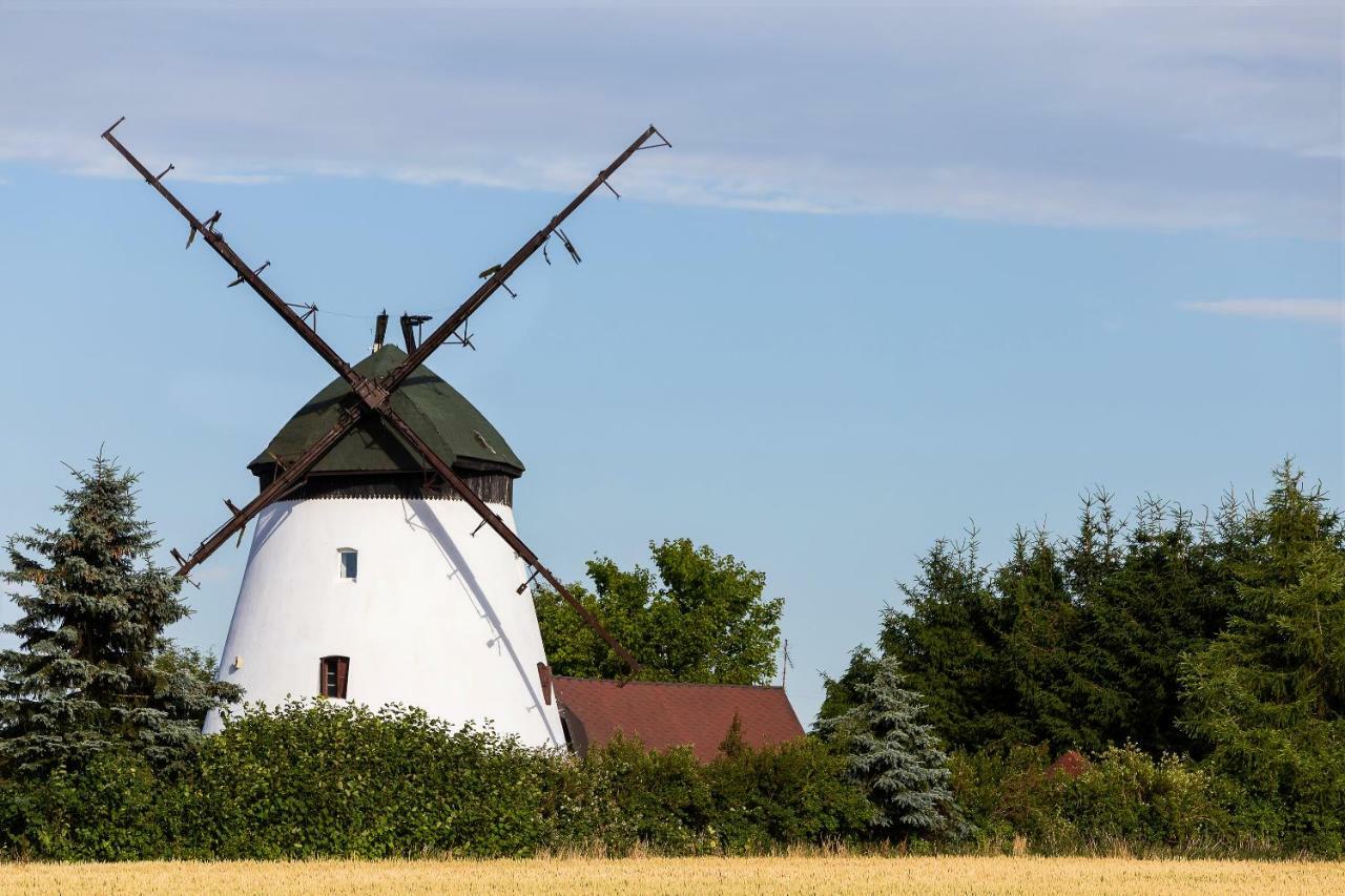 Windmill Vacation Home In Ledzin Near Baltic Sea 尼彻兹 外观 照片